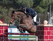 Le Jeune Vikali TosTour2013- S5 2316 : Arezzo, Arezzo Equestrian Centre, Le Jeune Philippe, Toscana Tour 2013, Vikali de l'Heribus, foto di Stefano Secchi ©